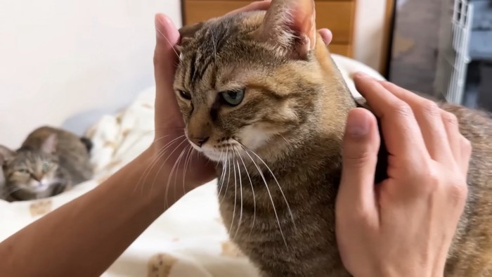 リタちゃん