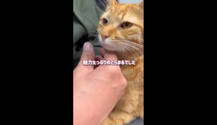 魅力たっぷり