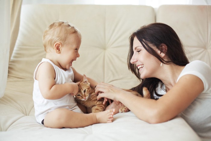 女性に見守られながら、赤ちゃんと戯れる猫