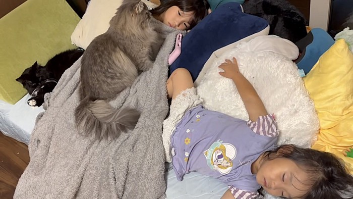 2匹と姉妹が寝ころぶ様子の全体写真