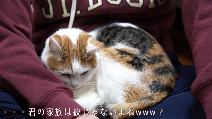 「...君の家族は...」のテロップ写真
