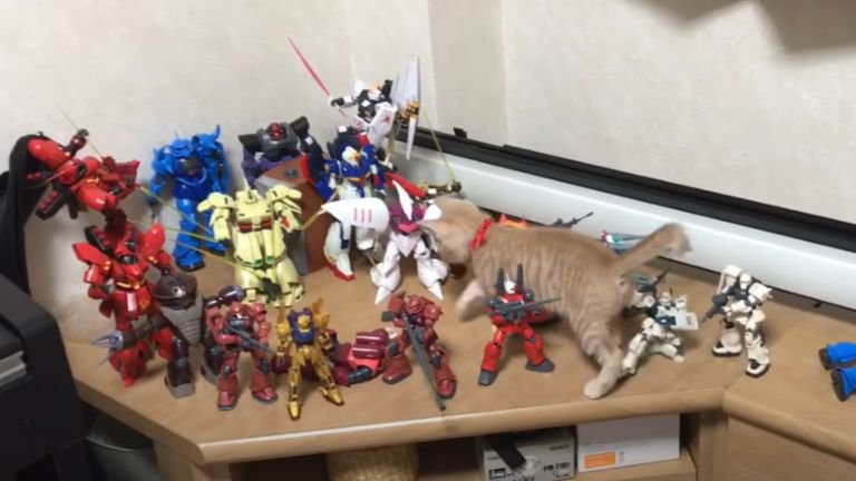 ガンプラが飾ってある棚を歩く猫