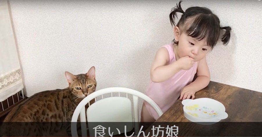 幼児とテーブルの下の猫