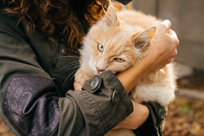 女性に抱かれて嫌そうな顔をする猫