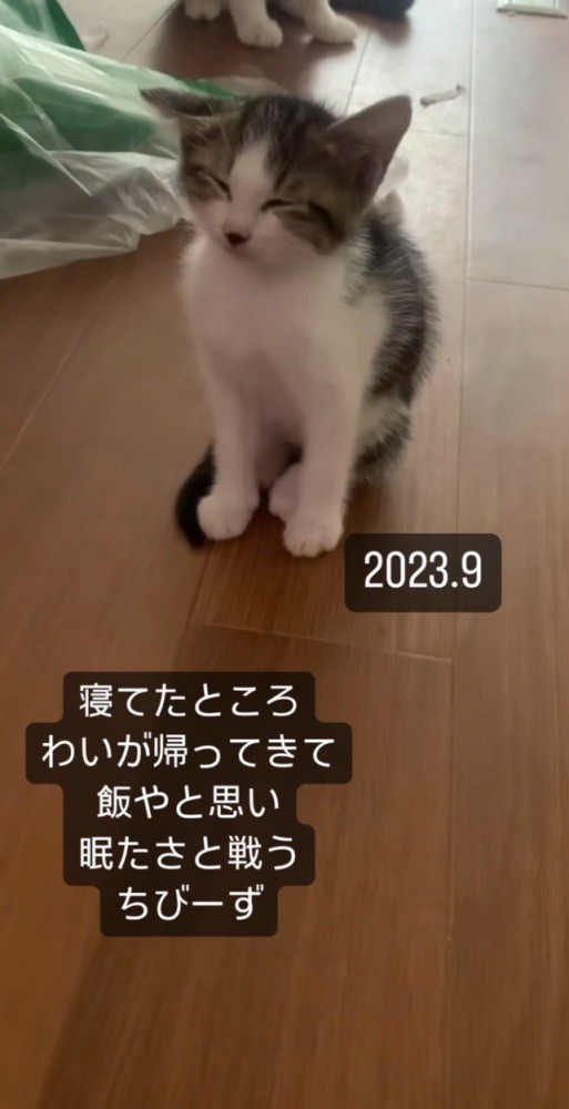 飼い主さんが帰宅