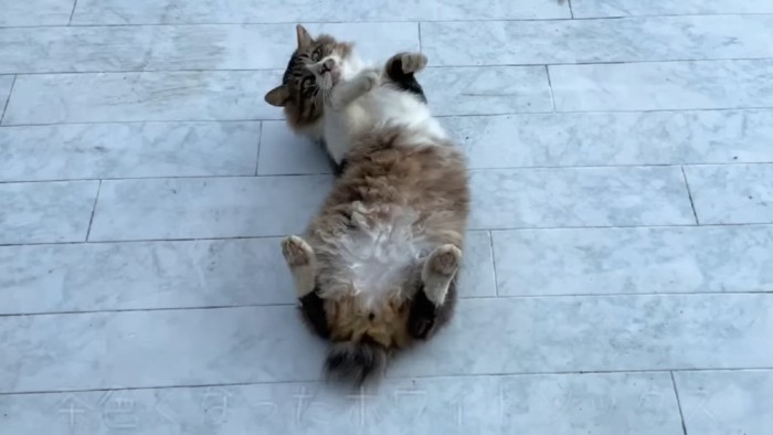 泥だらけの体
