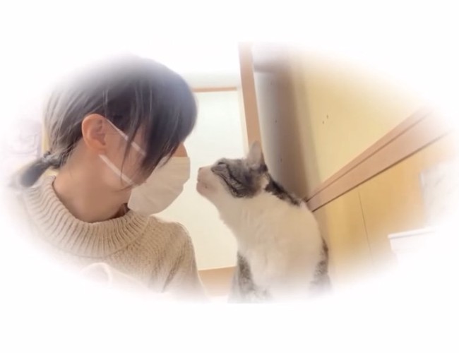 女性と鼻を近づけ合う猫