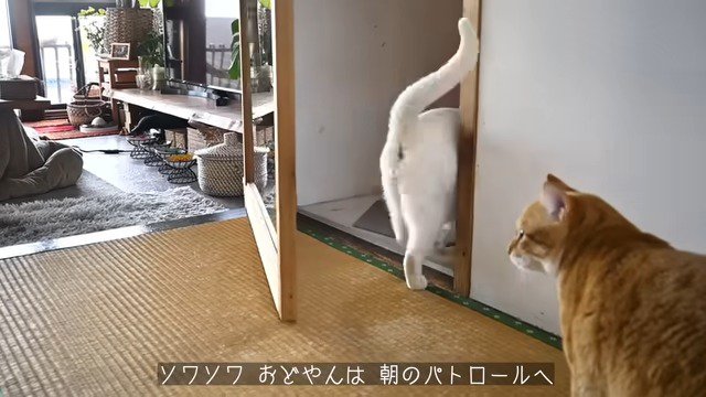 パトロールをしに行くおどやんくん