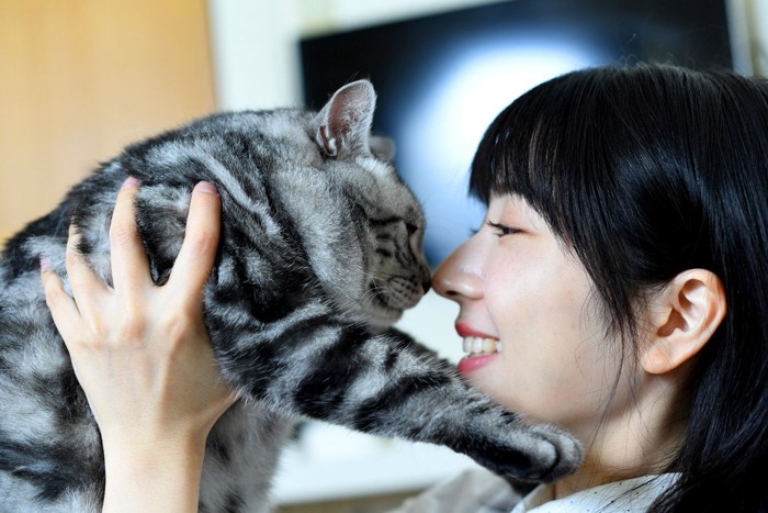 猫と触れ合う女性