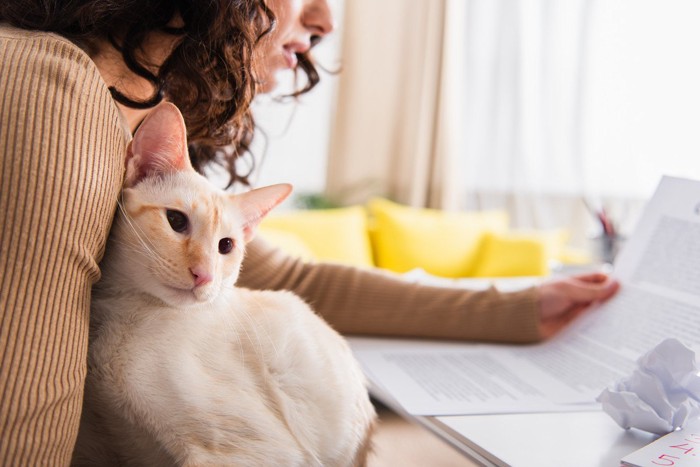 猫を抱いて書類を確認している女性