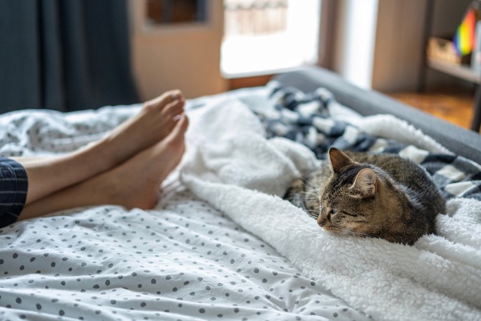 男性の足と猫