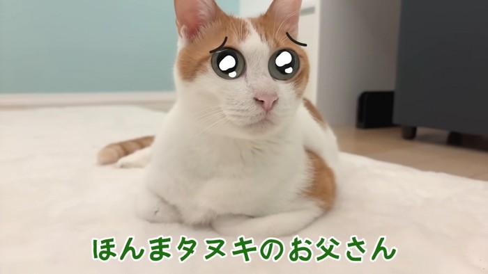 うるうる目なうにくん