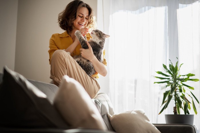 部屋の中で飼い主に抱っこされる猫