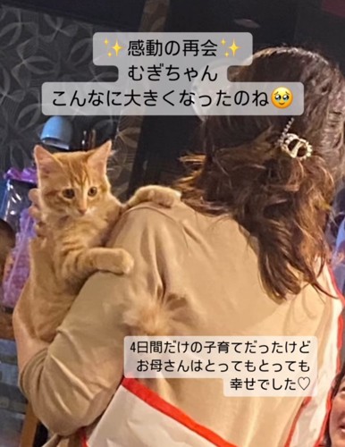 猫を抱く女性