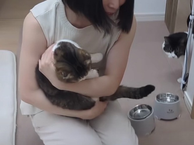 抱かれる猫