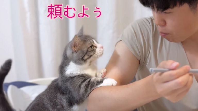 男性の腕に手を乗せている猫