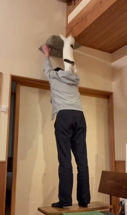 座布団を掲げる飼い主と猫