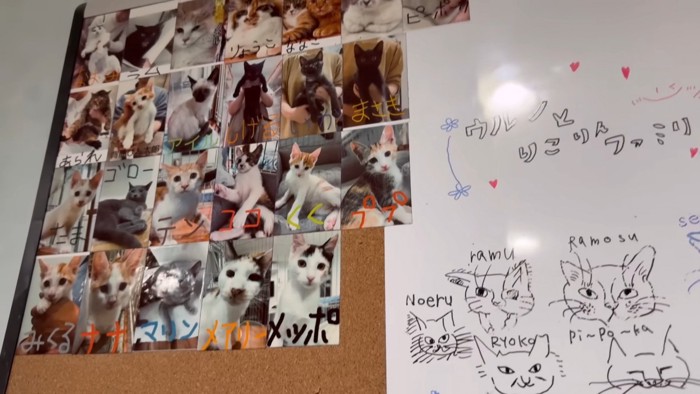 里子に出た子の写真