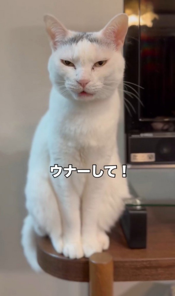 「ウナーして！」と書かれた写真