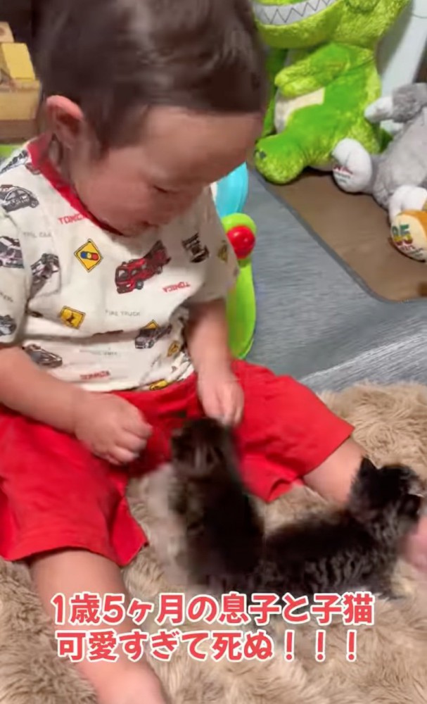 穏やかに見守る赤ちゃん