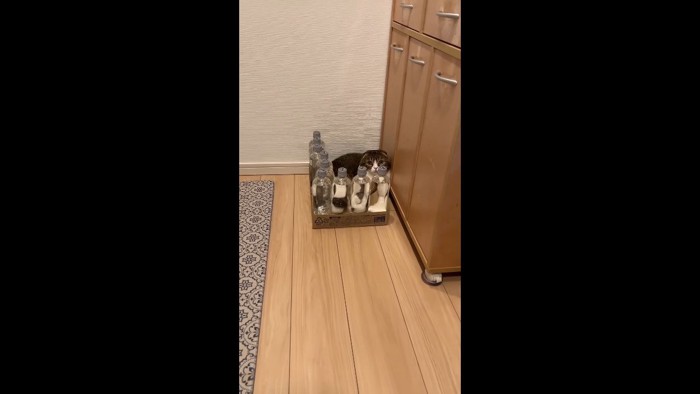 もっと近づいて