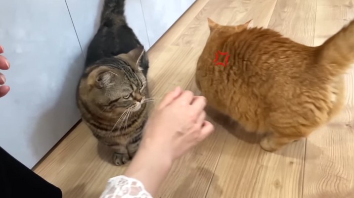 去って行くプリンくん