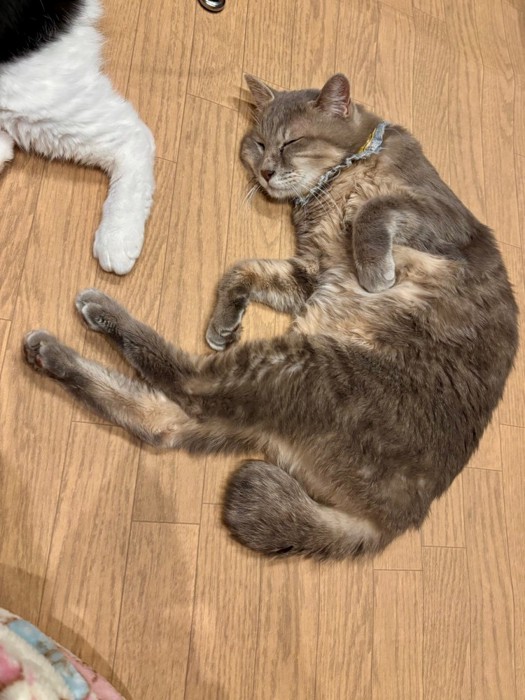 幸せそうな竜太郎くん