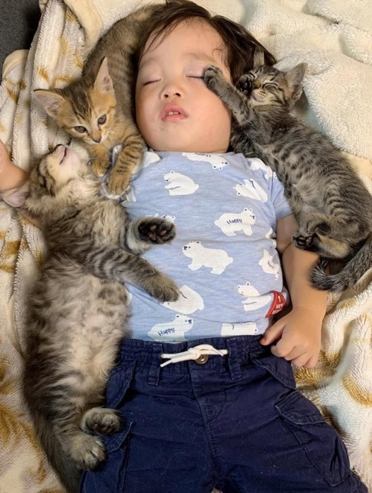 子猫の前足が顔に乗っている子ども