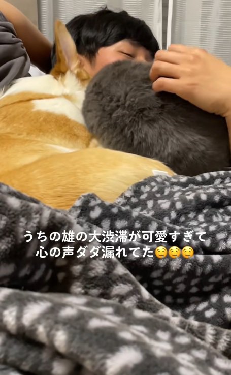 犬と寝ている飼い主にくっつく猫