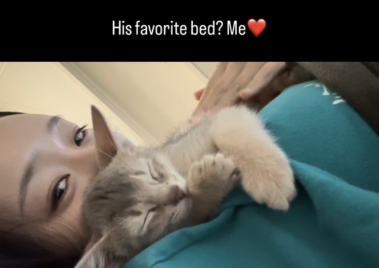 飼い主さんに抱っこされて眠るアビシニアン