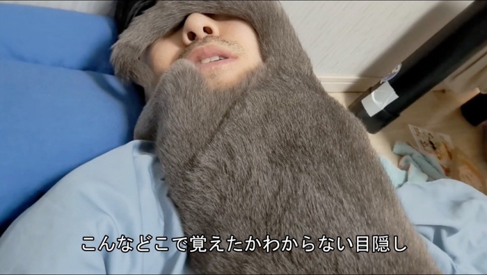 猫のしっぽで目隠しをされる飼い主