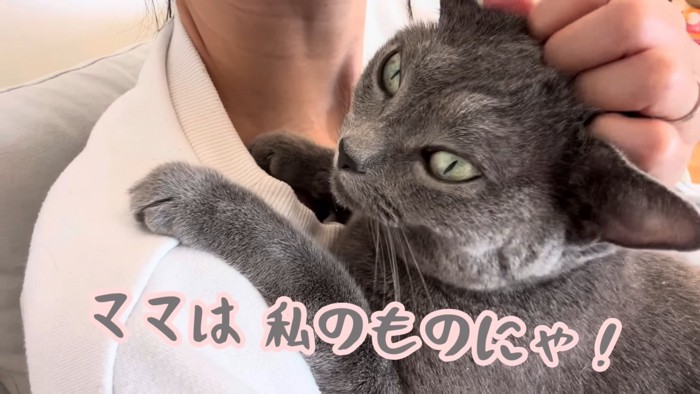 テロップ「ママは私の~」
