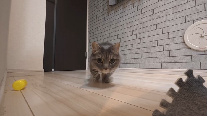 こちらに向かってくる姿