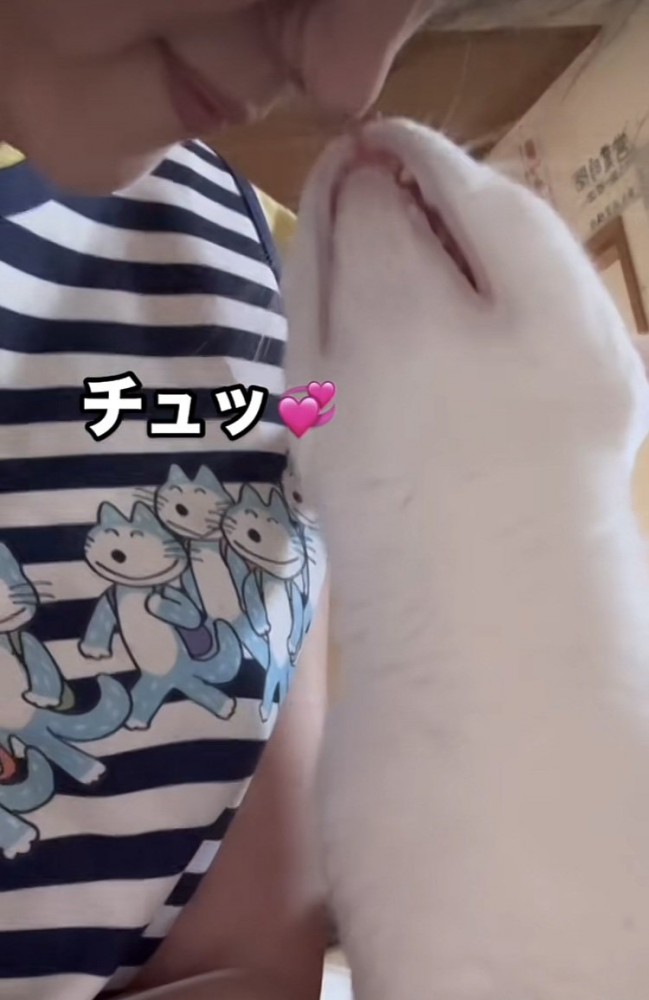 ママとキスする白猫