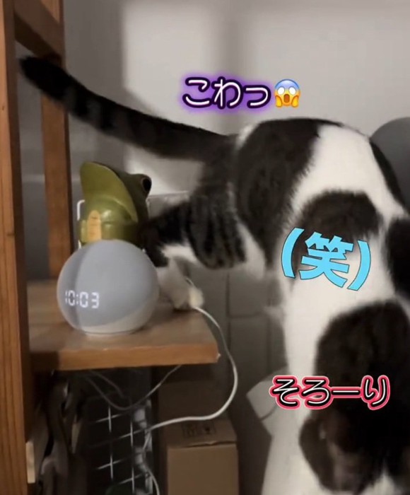 逃げるノアくん