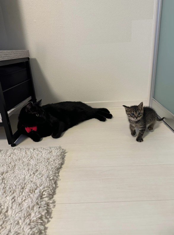 いちみちゃんとはまちくん