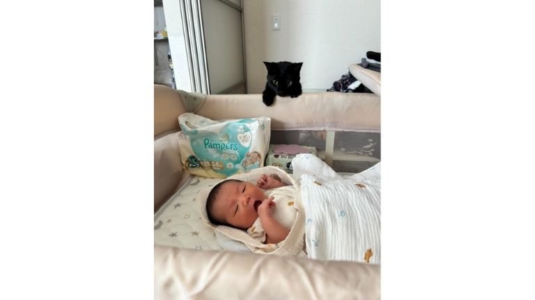 猫と赤ちゃん