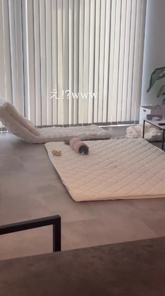飼い主のフォームローラーの中に入っている猫
