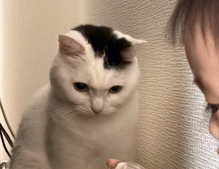 真剣な表情で見つめる