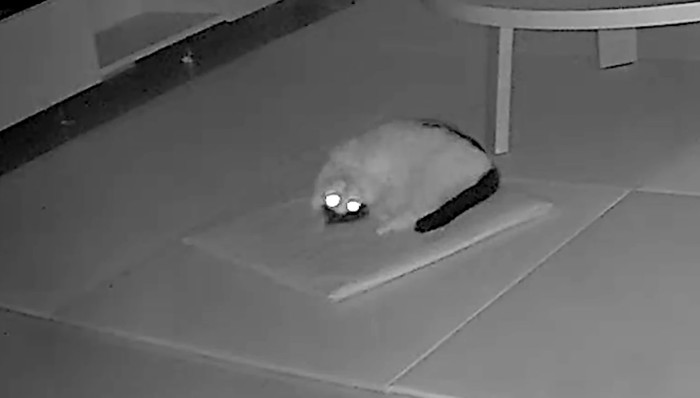 ひっくり返って