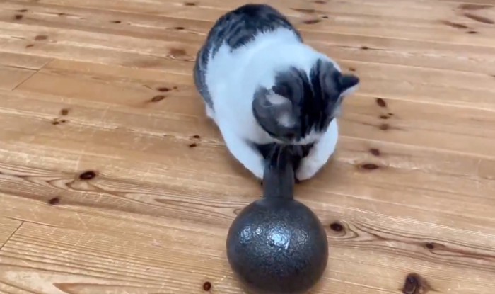 ダンベルをホールド