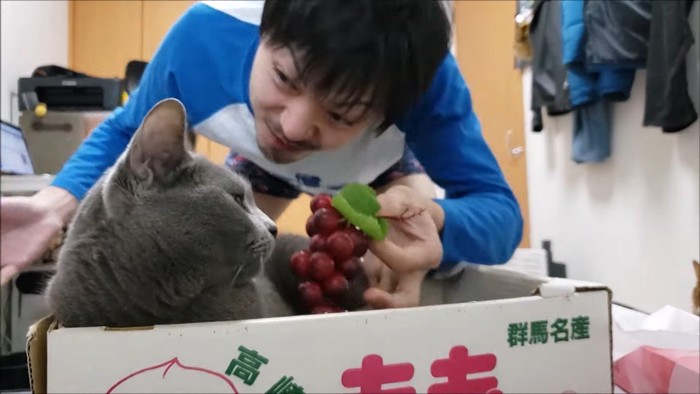 ブドウを近づけて