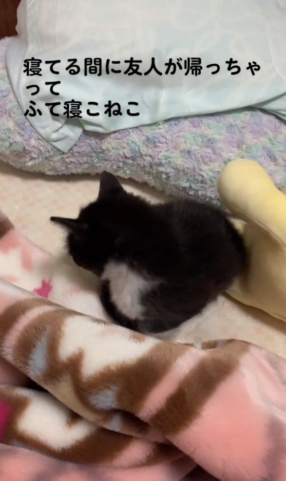拗ねているねむちゃん