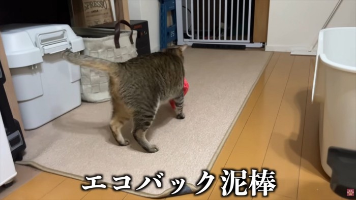 テロップ「エコバッグ泥棒」