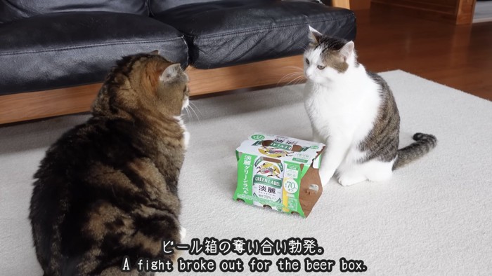 「ビール箱の奪い合い勃発」のテロップ写真