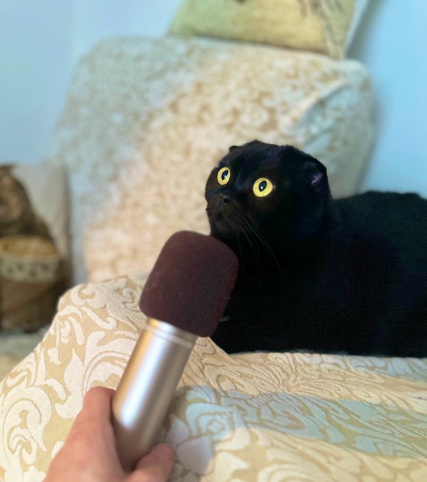 マイクを向けられるぷりもちゃん