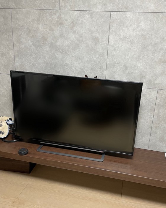 テレビの裏に隠れるすずりちゃん