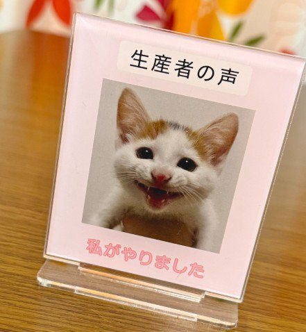 誇らしげな猫の笑顔