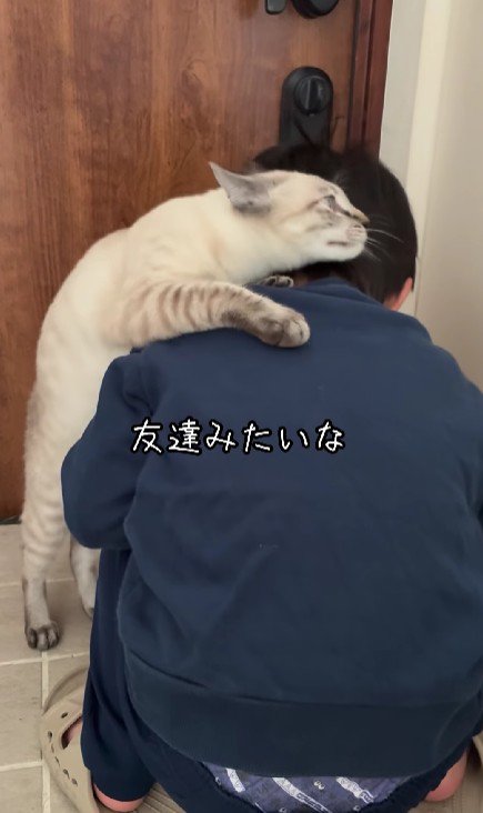 玄関にいる男の子にすり寄る猫