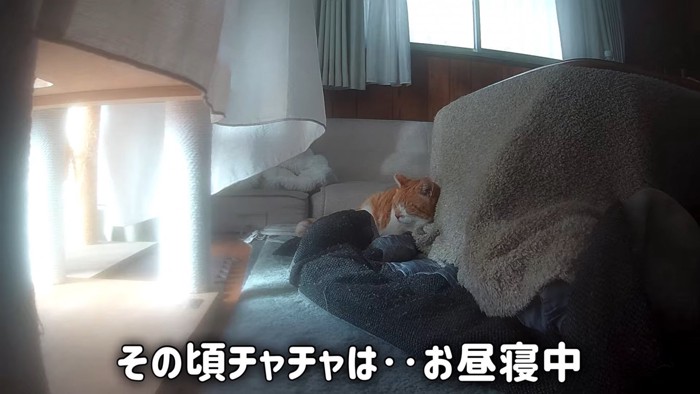 テロップ「その頃チャチャは~」